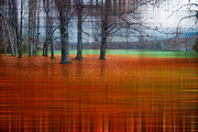abstract atumn II Photograph by Hannes Cmarits