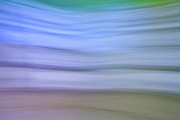 Abstract Summer Flowers Germany Photograph by Duncan Usher
