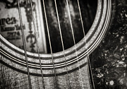 Acoustically Speaking Photograph by Scott Norris