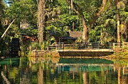 Afternoon At Juniper Springs Photograph by Adam Jewell Afternoon At Juniper Springs Photograph by Adam Jewell