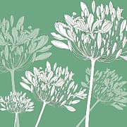Agapanthus breeze Painting by Sarah Hough