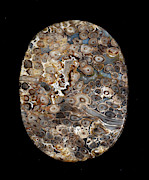 Agate Cabuchon Stone Photograph by Science Photo Library