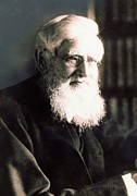 Alfred Russel Wallace Photograph by Science Photo Library