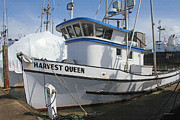 All Painted And Ready To Fish Photograph by Tom Janca