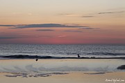 Almost Sunrise Photograph by Robert Banach