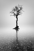 Alone Photograph by Grant Glendinning Alone Photograph by Grant Glendinning