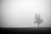Alone In The Fog - Bw Photograph by Hannes Cmarits