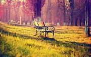 Alone in the Park Photograph by Gianfranco Weiss Alone in the Park Photograph by Gianfranco Weiss