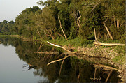 Along The Shore - Brandywine Photograph by DArcy Evans Along The Shore - Brandywine Photograph by DArcy Evans