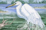 American Egret Painting by Paul Brent