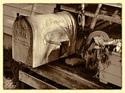 Americana Photograph by Ron Roberts