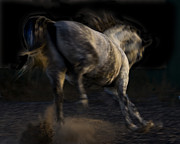 Americano 12 Photograph by Catherine Sobredo