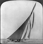 America's Cup, 1903 Painting by Granger America's Cup, 1903 Painting by Granger
