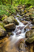 Amicalola Falls Photograph by Bernd Laeschke