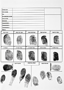 An authentic form of fingerprints Photograph by Labsas