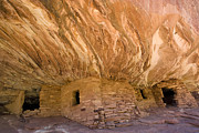Anasazi Ruins Mesa Verde Np Colorado Photograph by Tom Vezo Anasazi Ruins Mesa Verde Np Colorado Photograph by Tom Vezo