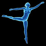 Anatomy Of Female Dancer Photograph by Science Photo Library