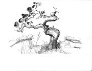 Ancient Loblolly Pine Ocracoke NC 1970s Drawing by Richard Wambach