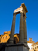 Ancient Roman Columns Photograph by Tim Holt Ancient Roman Columns Photograph by Tim Holt