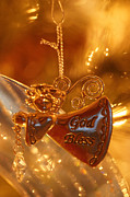 Angel Blessing Photograph by Linda Shafer