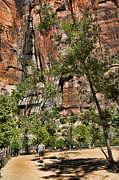 Angel Landing in Zion Photograph by Brenda Kean