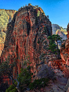 Angel's Landing Photograph by Chad Dutson