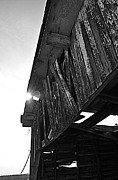 Angles Photograph by Stacy Abbott