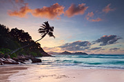 Anse Severe Photograph by Michael Breitung