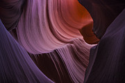 Antelope Wave Photograph by Andy Bitterer