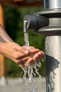 Appreciating Freshwater Photograph by Andreas Berthold