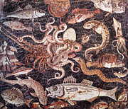 Aquatic Mosaic Photograph by Brenda Kean
