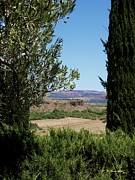 Arcosanti View Photograph by R B Harper