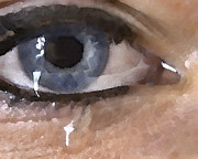 Are You Blue Photograph by M Kathleen Warren