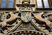 Arms Of Christ's College Photograph by Science Photo Library