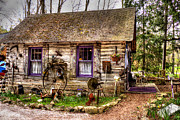 Art Gallery in the Woods Photograph by Bob Kinnison