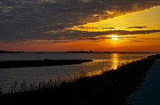 Assateague Sunrise Photograph by Photographic Arts And Design Studio