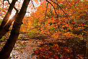 At Its Best Photograph by Lourry Legarde