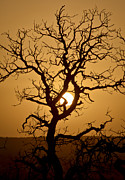 Atman Photograph by Skip Hunt
