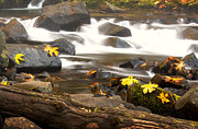 Autumn at Bridal Veil Photograph by Jon Ares