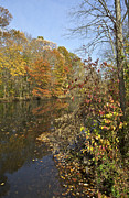 Autumn Colors on the Canal Photograph by David Letts