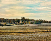 Autumn Fields - Landscape Photograph by Jai Johnson