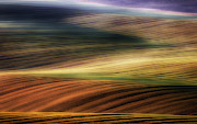 Autumn Fields Photograph by Piotr Krol (bax)