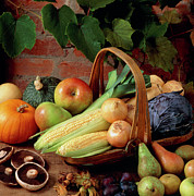 Autumn Harvest Vegetable Selection Photograph by Science Photo Library