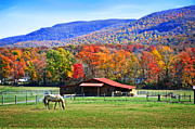 Autumn in Rural Virginia  Photograph by Lynn Bauer