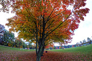 Autumn in the Park Photograph by Jackson Pearson