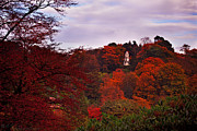 Autumn Pagoda Photograph by B Cash
