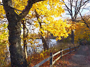 Autumn Path in the Park Photograph by Susan Savad Autumn Path in the Park Photograph by Susan Savad