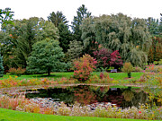Autumn Pool Photograph by Azthet Photography
