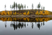Autumn Reflection Photograph by Allan Van Gasbeck