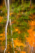 Autumn Reflections Photograph by Jeff Sinon